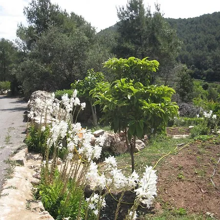 Holiday home Masia Puigadoll