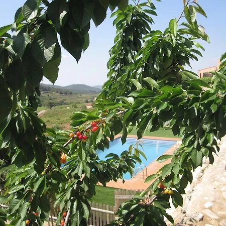 Holiday home Masia Puigadoll *